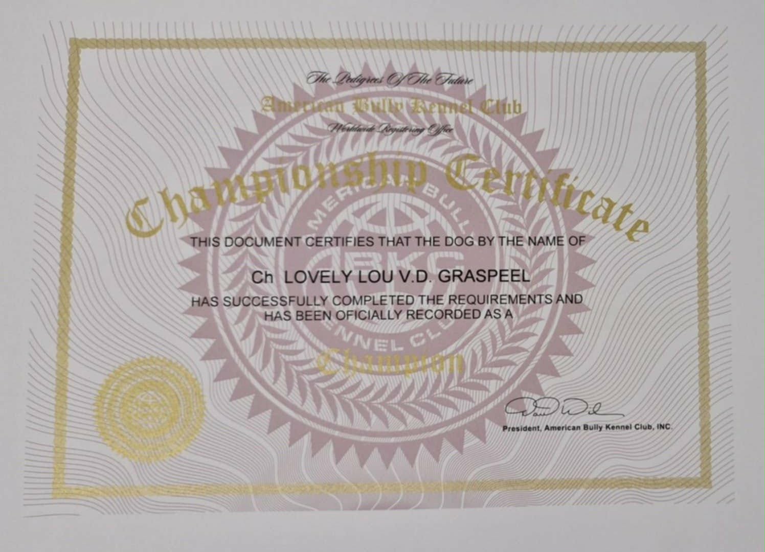 Lovely Lou v.d. Graspeel