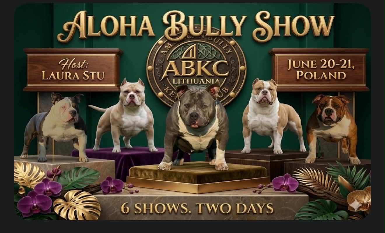 ALOHA BULLY SHOW 2026