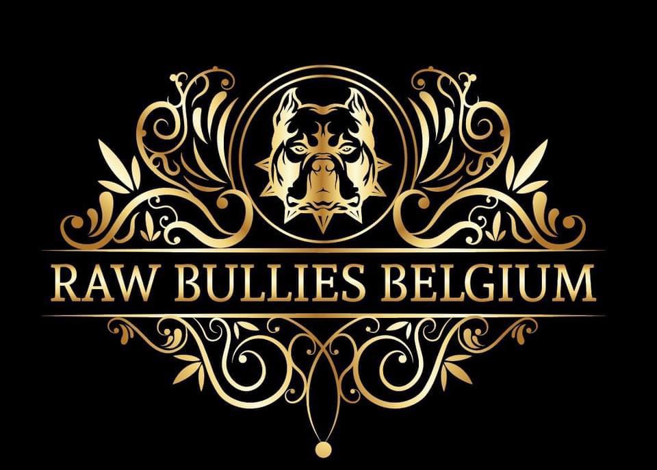 Geerdens Bert “RAW Bullies Belgium 🇧🇪 “