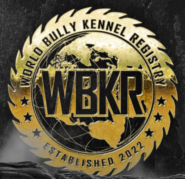 WBKR logo