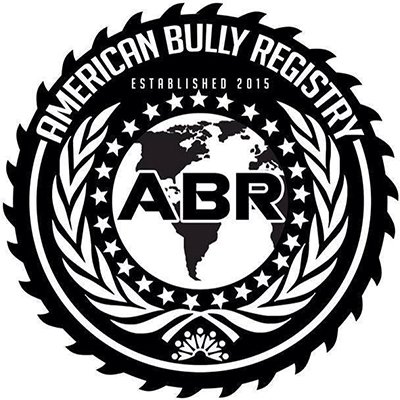 ABR logo