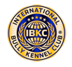 Logo IBKC